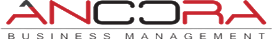 Âncora Business Management